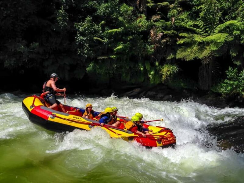 Kaituna River and Tutea Falls Whitewater Rafting - Key Points