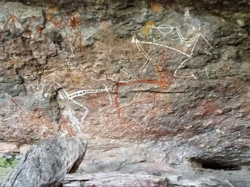 Kakadu Day Tour: Private, Yellow Water, Nourlangie, Ubirr - Key Points