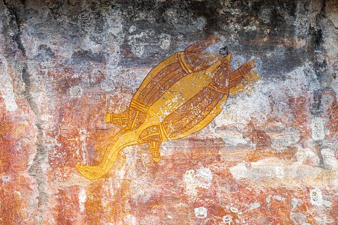 Kakadu National Park Wildlife & Ubirr Rock Art Tour from Darwin - The Value of This Tour