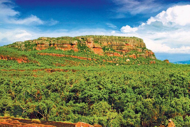 Kakadu, Nourlangie and Yellow Waters Tour from Darwin - Practical Considerations