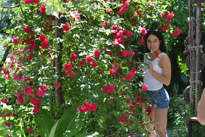 Kakheti: Bodbe, Sighnaghi, Telavi Wine Tour from Tbilisi - Sighnaghi Town: Pastel Streets, Walled Views, and the Big Wall Climb