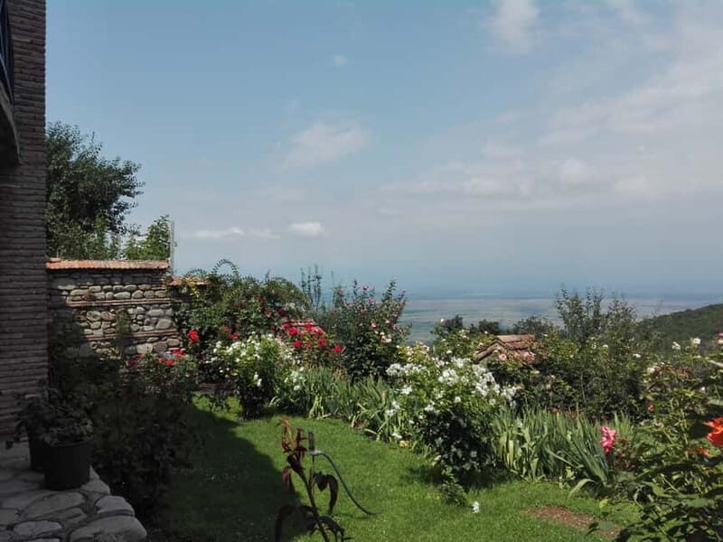 Kakheti: Individual Day Tour To Sighnaghi From Tbilisi - Who Should Consider This Tour?