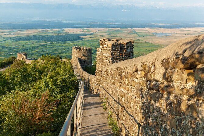 Kakheti Private Tour with Wine Tasting from Tbilisi - The Experience and Its Pros & Cons