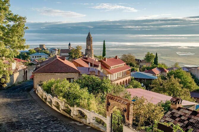 Kakheti Private Tour with Wine Tasting from Tbilisi - Who Will Love This Tour?