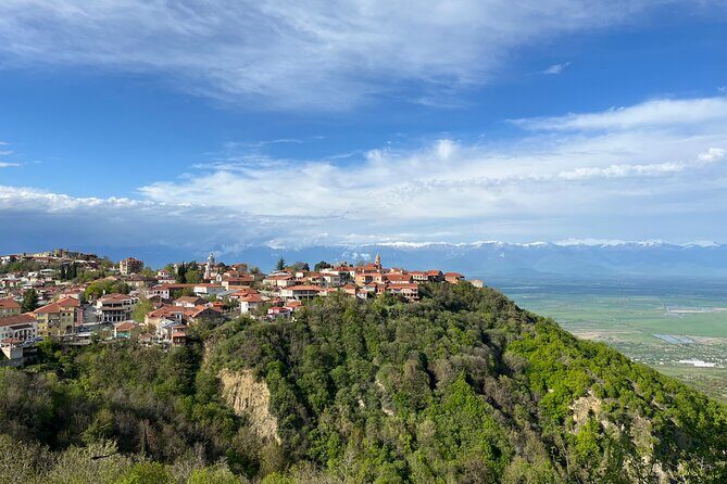 Kakheti-Sighnaghi Day Trip with wine tasting and Bodbe Monastery - Key Points