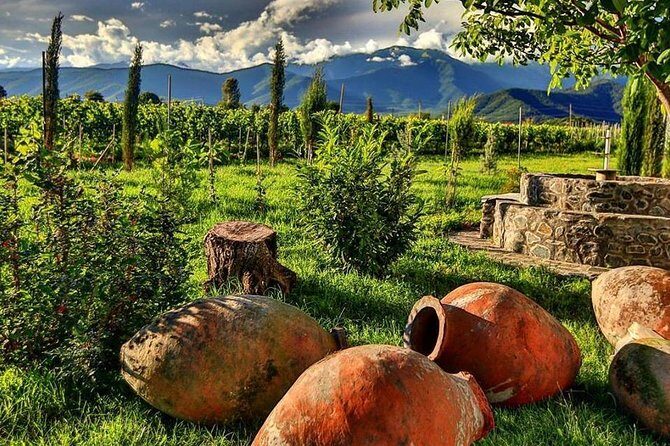 Kakheti-Wine Region Full-Day Superior Private Guided Tour & Organic Wine Tasting - Key Points