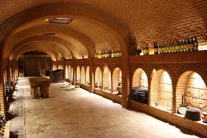 Kakheti-Wine Region Full-Day Superior Private Guided Tour & Organic Wine Tasting - Final Thoughts