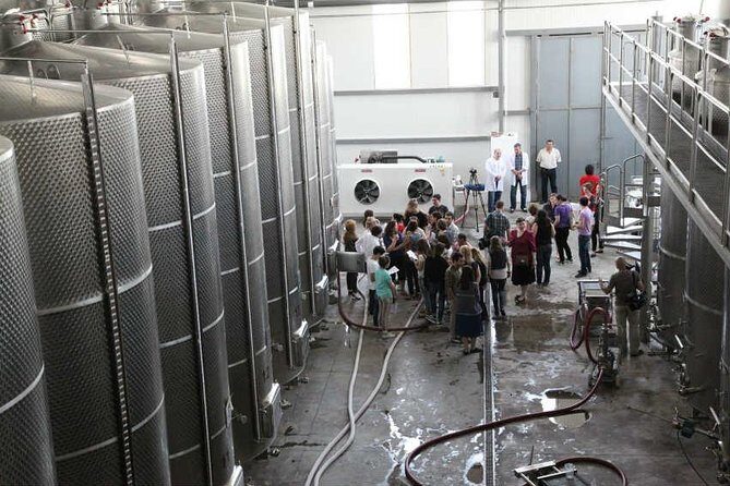 Kakheti Wine & Sighnaghi Private Tour from Tbilisi - An In-Depth Look at the Tour Experience