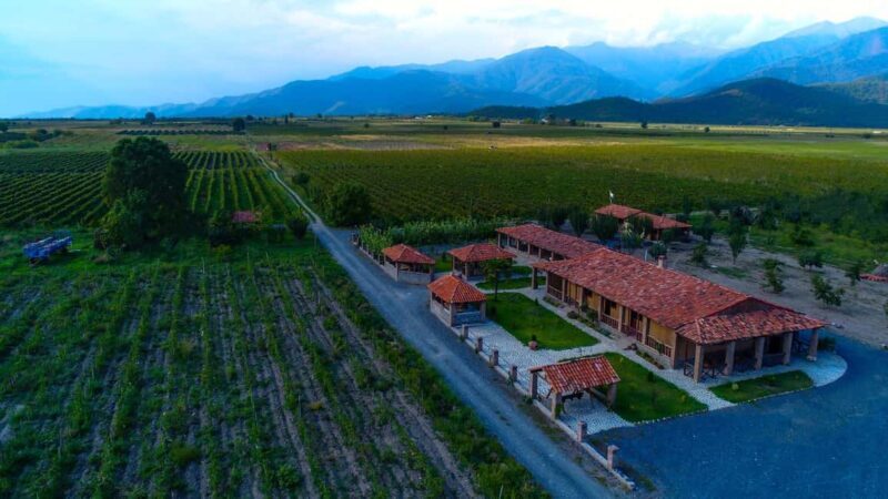 Kakhetian Authentic Wine Tasting and Traditional Dinner - Key Points