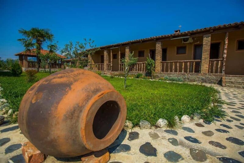 Kakhetian Authentic Wine Tasting and Traditional Dinner - What You’ll Get and What to Keep in Mind