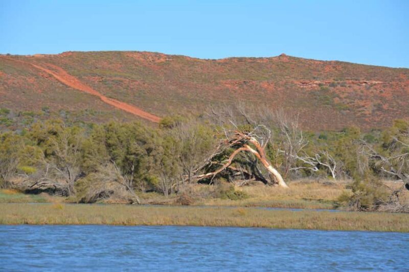 Kalbarri: Murchison River Morning Cruise - Who Would Love This Tour