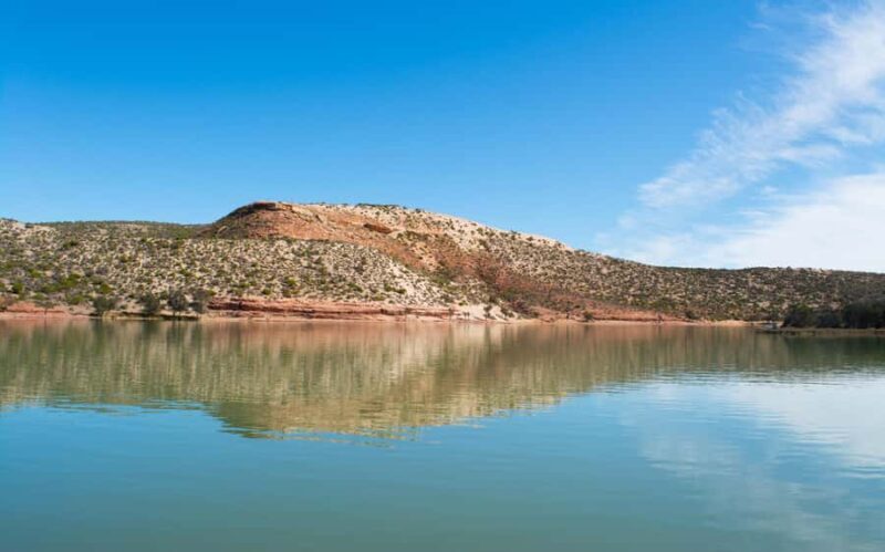 Kalbarri: Murchison River Wilderness Wildlife Cruise - What You Can Expect from the Tour