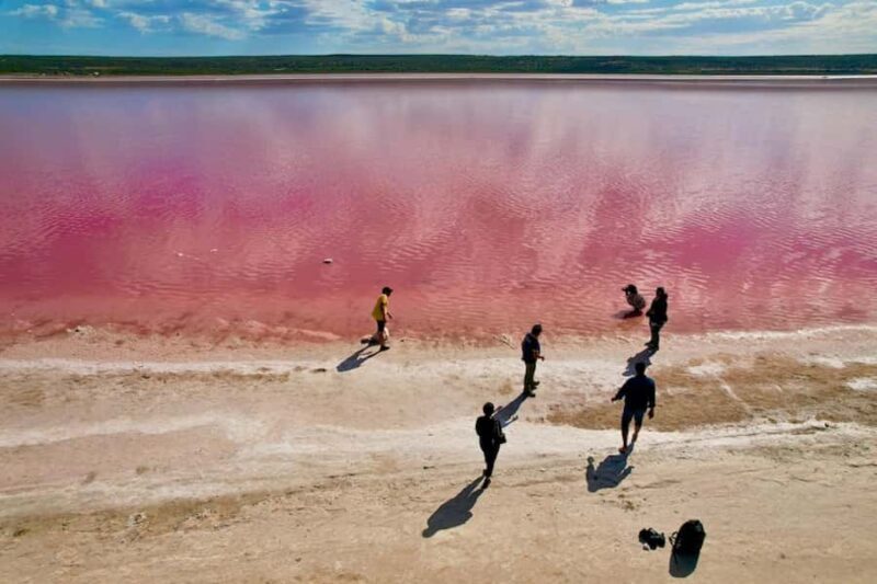 Kalbarri: Pink Lake and Coastal Cliffs Tour - Key Points