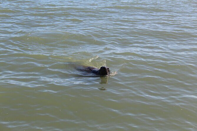 Kalbarri Rock Lobster Tours - Final Thoughts: Is It Worth It?