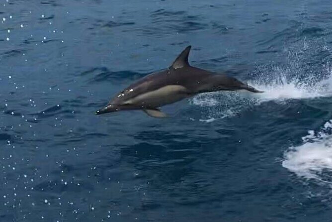 Kalbarri Sunset & Coastal Cliff Cruise - Final Thoughts