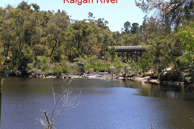 Kalgan Queen Scenic Cruises a four hour sheltered water wildlife tour daily fun. - Final Thoughts