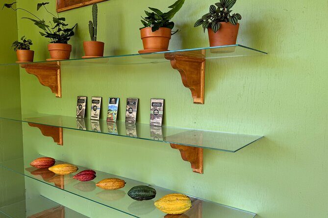 Kamananui Cacao Orchard Tour - Key Points