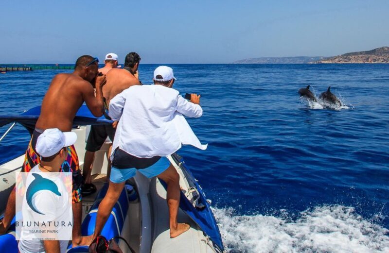 Kamiros Skala : Marine Life Experience & Alimia Island - Final Thoughts