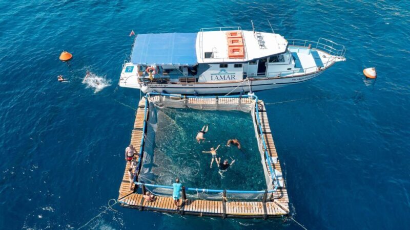 Kamiros Skala: Marine Life Experience by Boat - Key Points