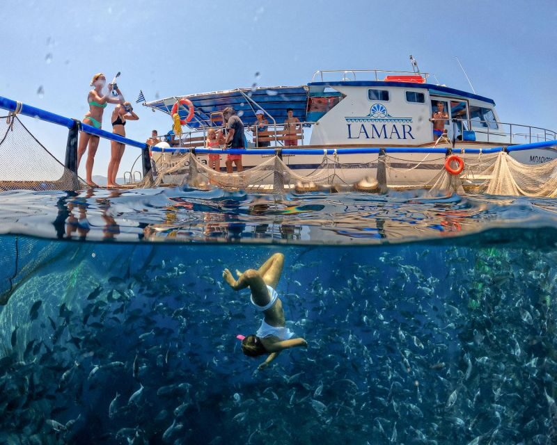 Kamiros Skala: Marine Life Experience by Boat - Who Will Enjoy This Tour?