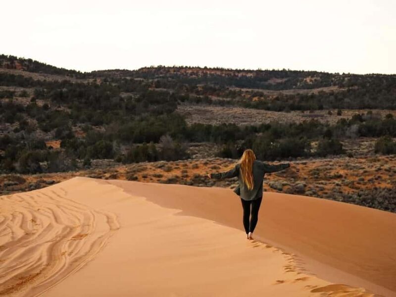 Kanab: Coral Pink Sand Dunes Sunset UTV, Smores and Stars - What You Can Expect From the Tour