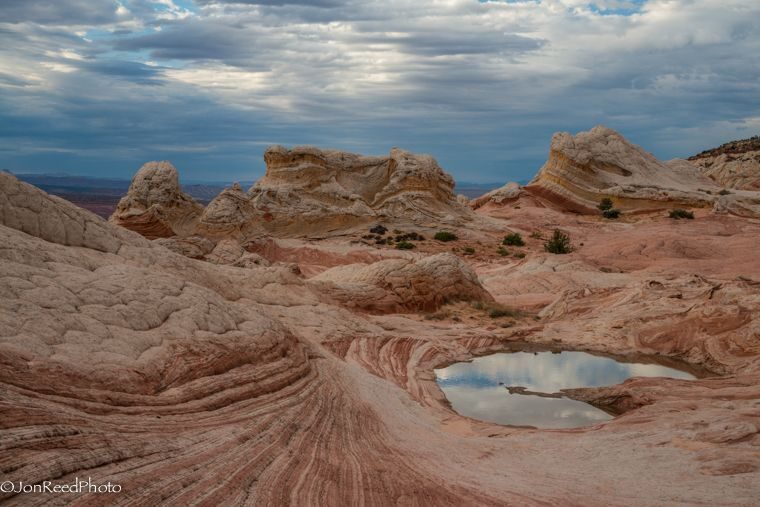 Kanab: White Pocket Hiking Tour in Vermilion Cliffs - The Sum Up