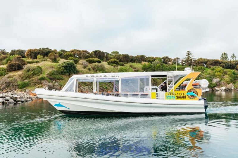 Kangaroo Island: 75-Minute Coastal Safari - The Experience at a Glance