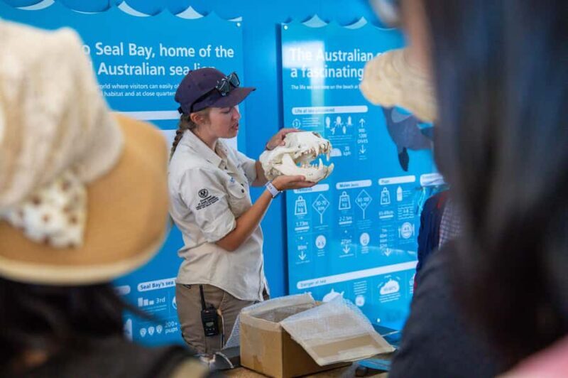 Kangaroo Island Full Day Experience by Ferry Including Lunch - Who Should Consider This Tour