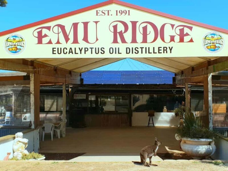 Kangaroo Island: Half-Day Tour Guided Coach Tour - Practical Details and Tips