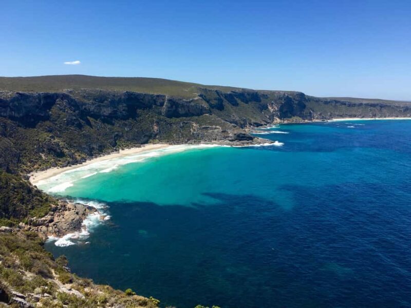 Kangaroo Island: Scenic, Nature & Wildlife Tour - What to Expect from the Tour