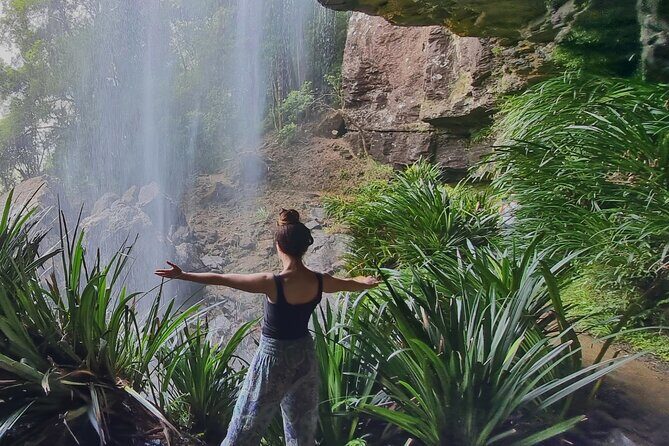 Kangaroos, Rainforest & Waterfalls Experience - Small Group - The Itinerary in Detail