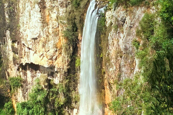 Kangaroos, Rainforest & Waterfalls Experience - Small Group - Best Of All Lookout – Panoramic Views