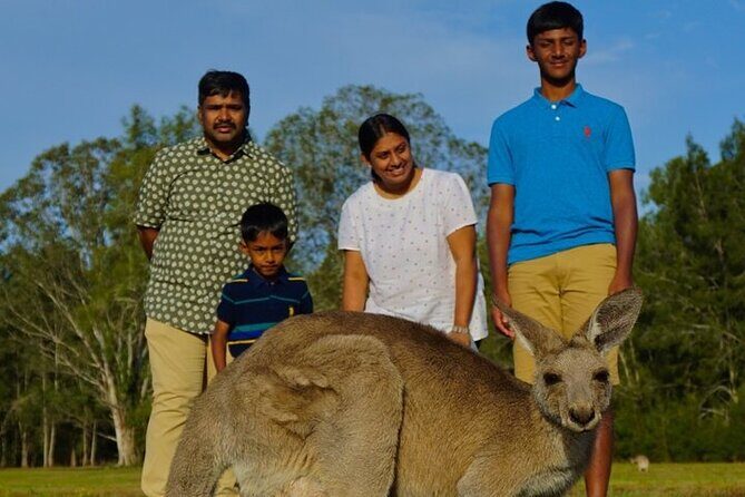 Kangaroos, Rainforest & Waterfalls Experience - Small Group - Practical Details and Value