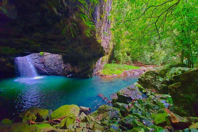 Kangaroos, Rainforest & Waterfalls Experience - Small Group - Honest Considerations