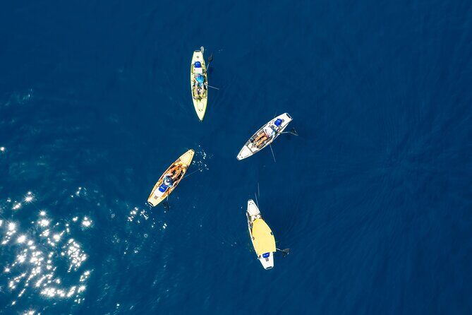 Kanjac Kayak Fishing Cavtat - What You Can Expect from Kanjac Kayak Fishing Cavtat