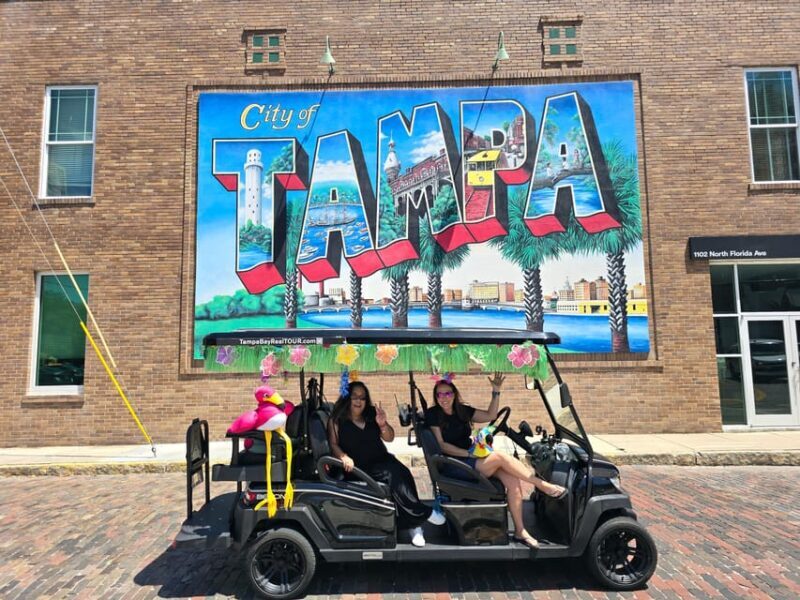 Karaoke Golf Cart City Tour  Tampa! - Transport and Group Details