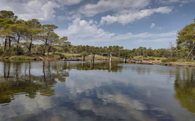 Karavasta:Bird Watching, Tower Views & Lagoon Boat Ride - Key Points