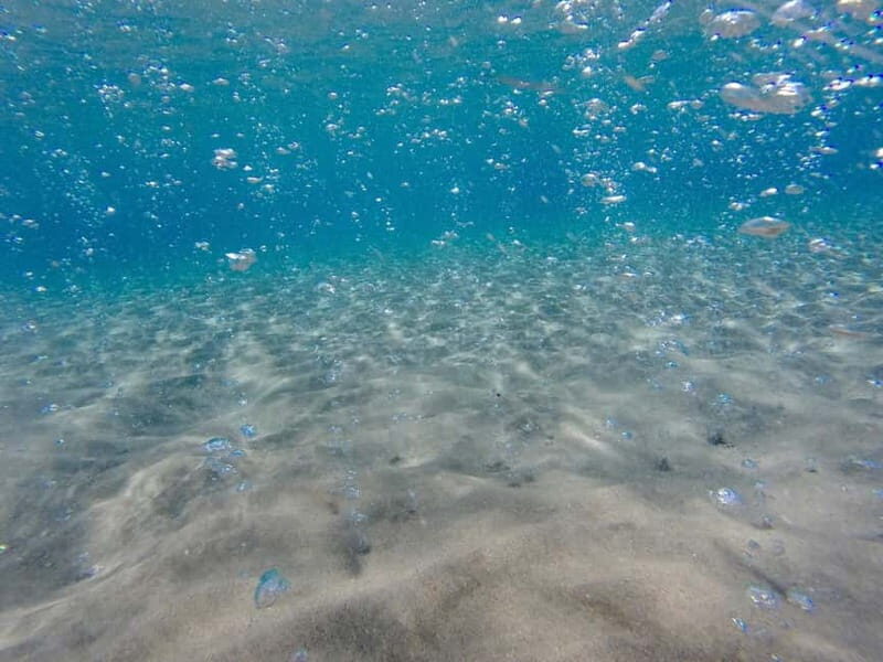 Kardamaina: Pirate Boat Cruise to 3 Bays with BBQ Lunch - FAQs