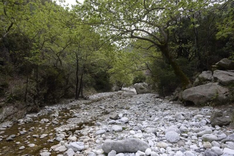 Kardamili : Hiking in Ridomo gorge - A Closer Look at the Ridomo Gorge Hiking Experience