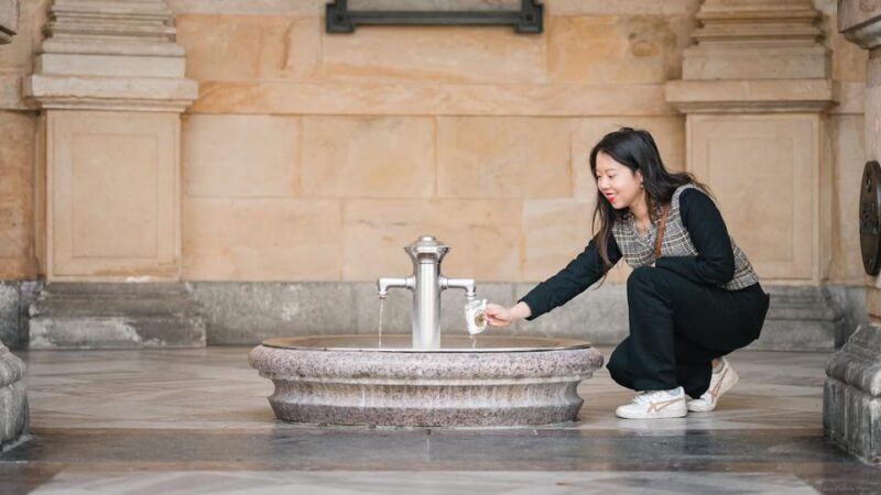 Karlovy Vary: Mineral Hot Springs Tasting and Walking Tour - The Sum Up