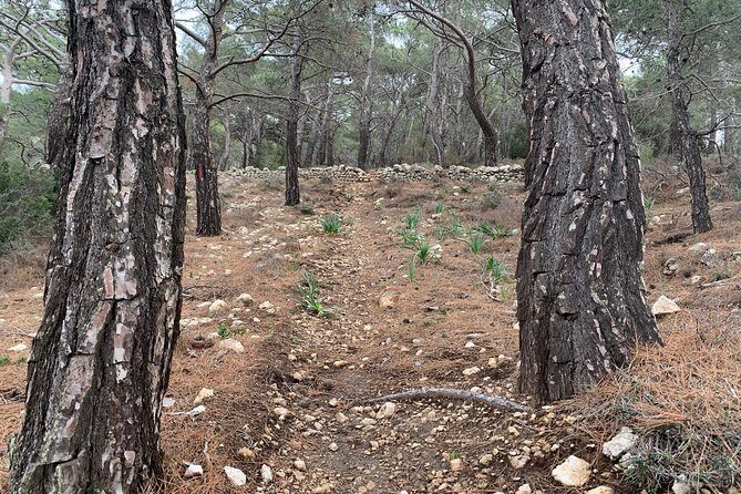 Karpathos scenic Agia Kyriaki Walk from Pigadia - A Deep Dive into the Agia Kyriaki Walk