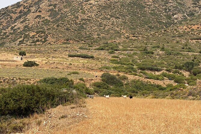 Karpathos: Traditional Olympos Tour with Driver Guide - Final Thoughts