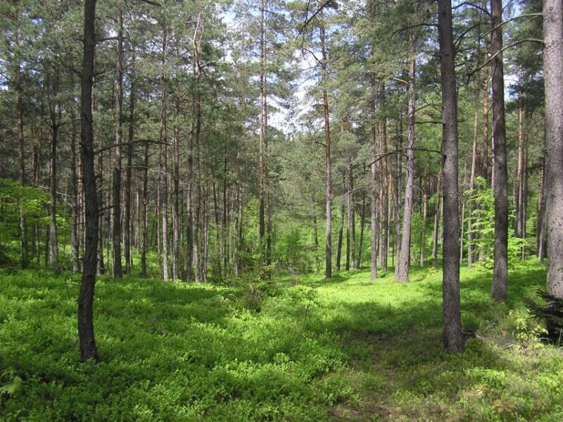 Kashubian Switzerland 1-Day Private Tour from Gdansk - Key Points