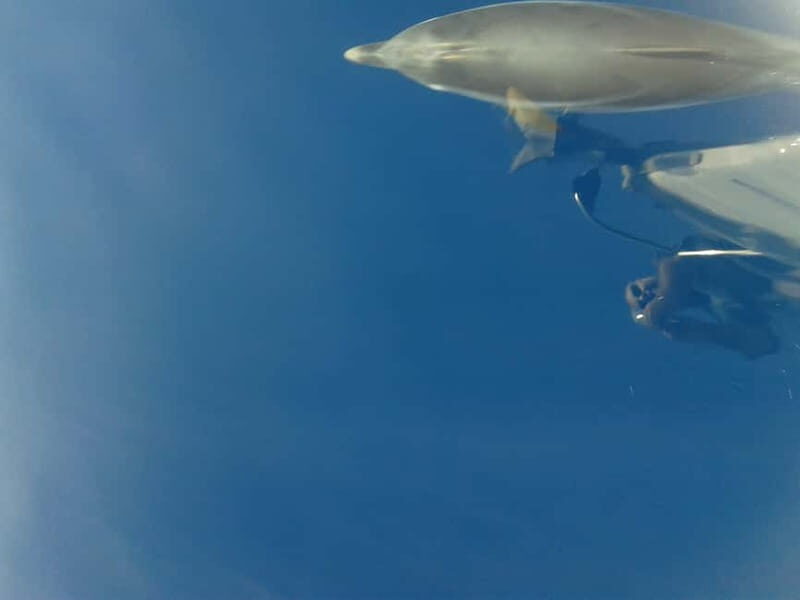 Kassandra: West Sithonia Coves and Islets Sailboat Tour - Pricing and What You’re Paying For