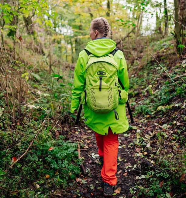 Kassel: Hercules Vital Tour - Guided Hike Through the Habichtswald - Key Points