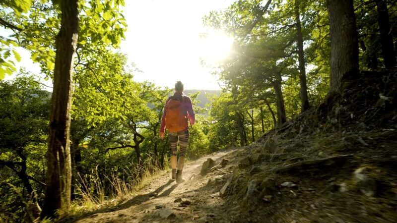 Kassel: Hercules Vital Tour - Guided Hike Through the Habichtswald - Frequently Asked Questions