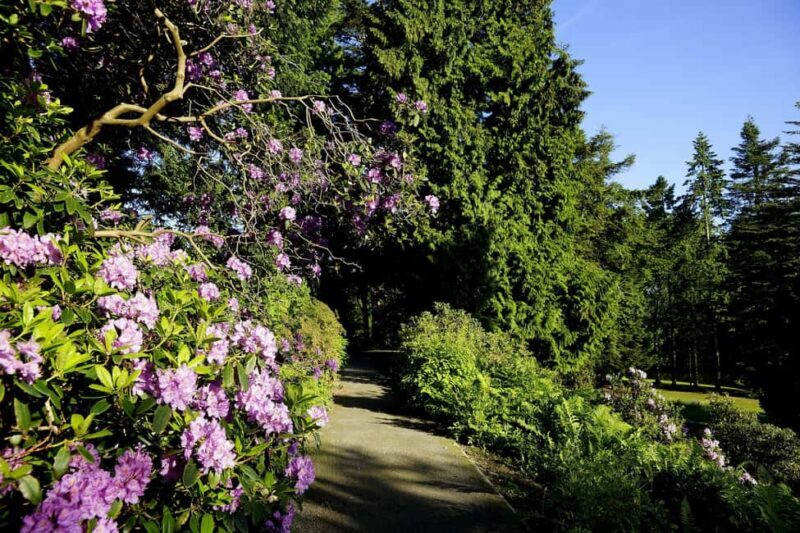 Kassel: Ready for the island?! Karlsaue and Siebenbergen in the scent of spring - Key Points