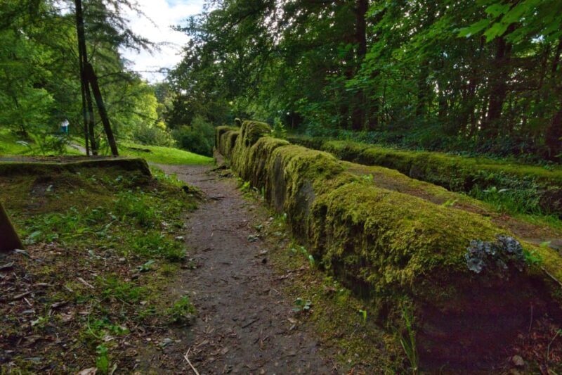 Kassel Wilhelmshöhe Audio Rally by P.I. Sir Peter Morgan - Who Is This Tour Best For?