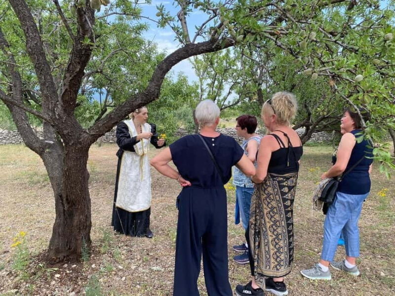 Kastela: Wine & Olive Tasting Tour w/Delicacies & Live Music - Exploring the Kastela: Wine & Olive Tasting Tour with Delicacies & Live Music