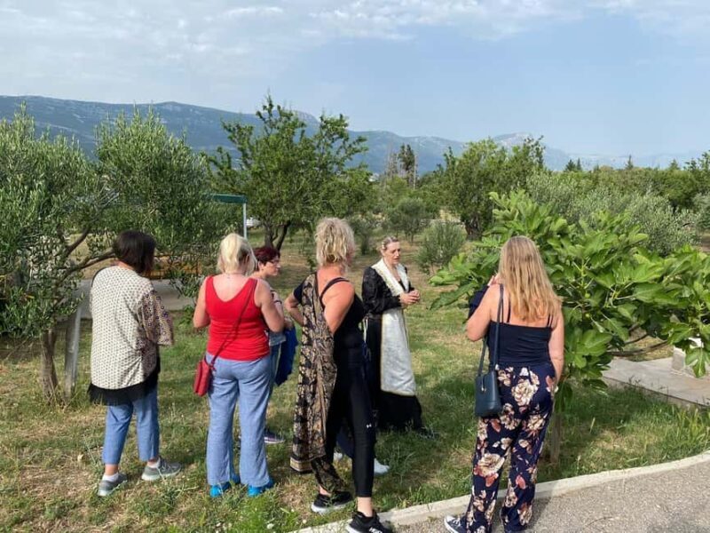 Kastela: Wine & Olive Tasting Tour w/Delicacies & Live Music - The Sum Up
